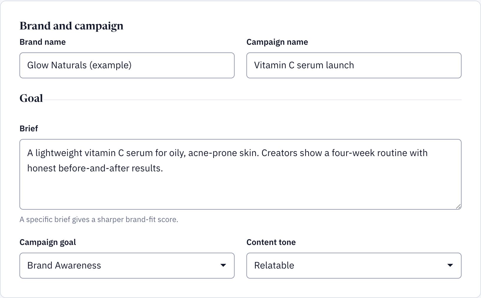 The campaign brief form with brand, campaign name, brief, goal and tone